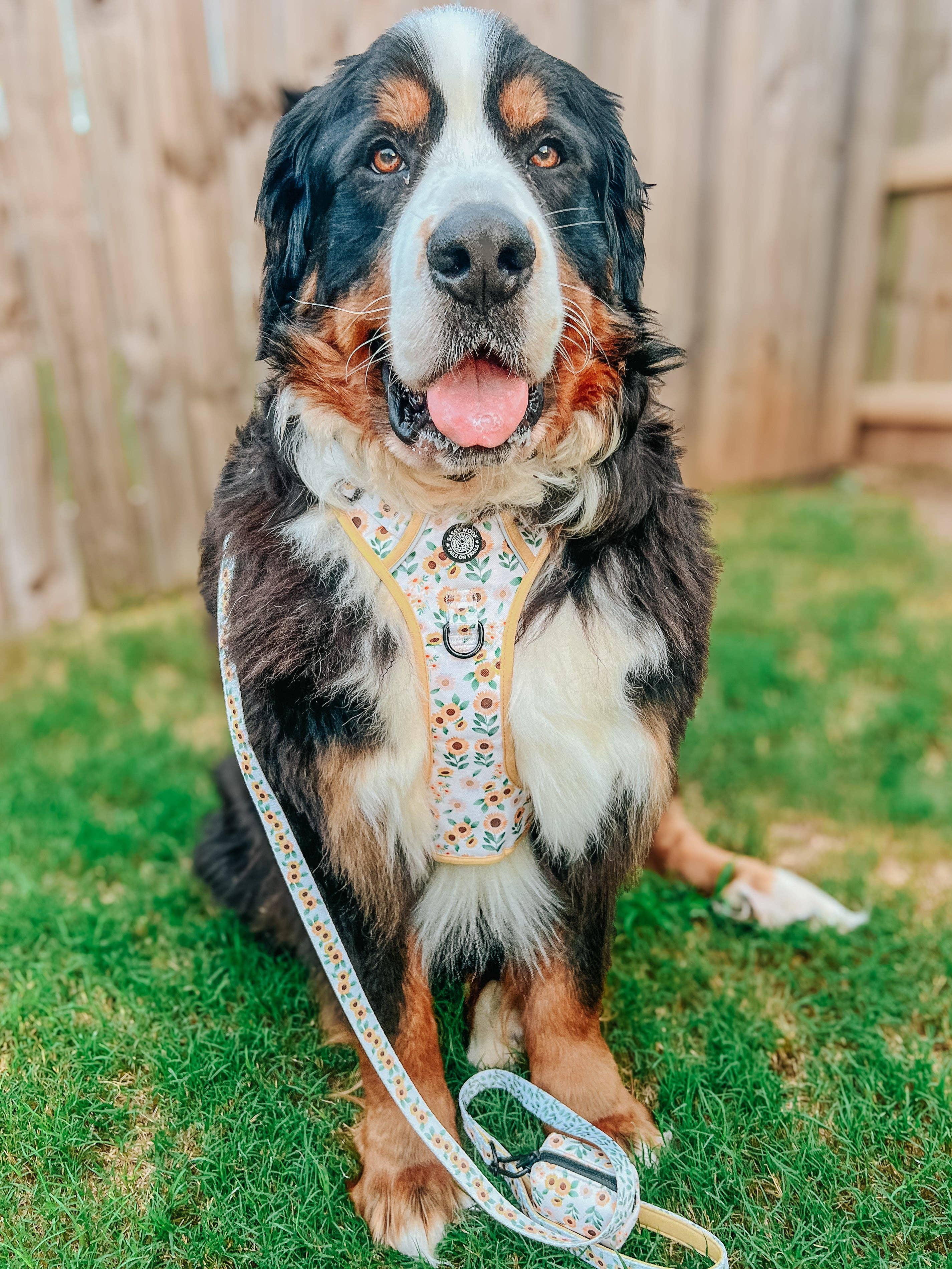 Sassy Woof Waste Bag Holder - Sunflower Dreams