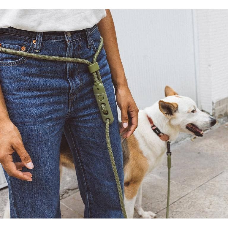 Zee.Dog Hands-Free Leash - Army Green