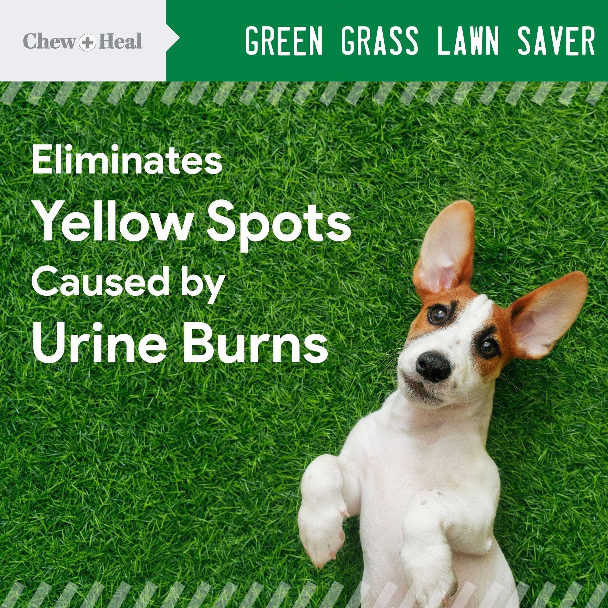 Chew + Heal Lawn Saver Chews For Dogs - Dog Urine Grass Saver - 120 Soft Chews