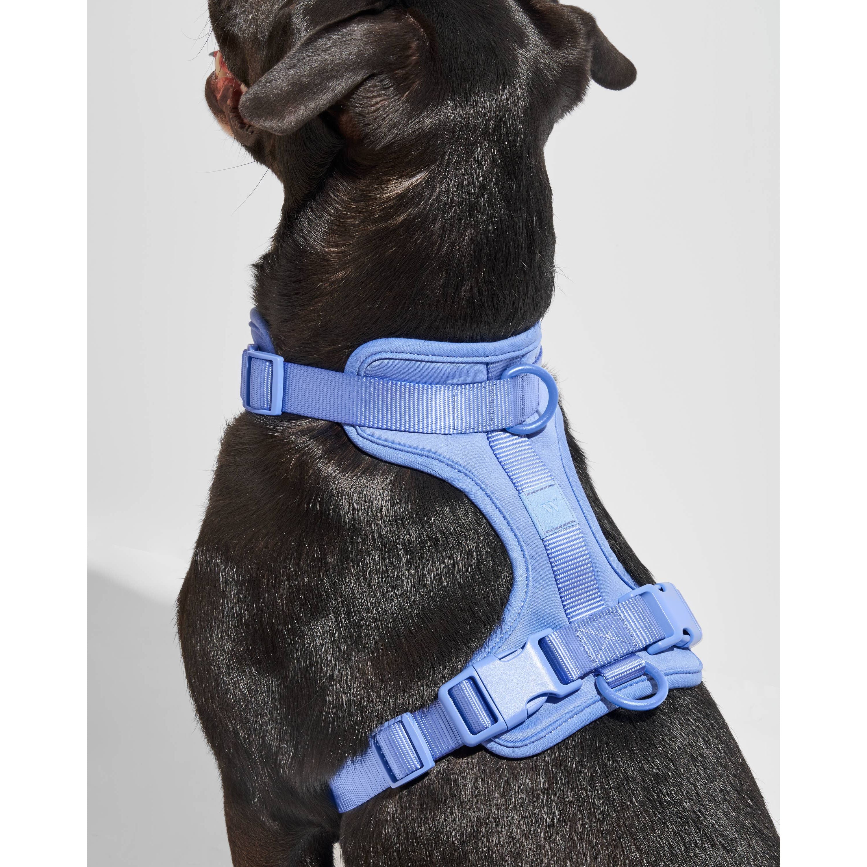 Wild One Adjustable Comfort Dog Harness