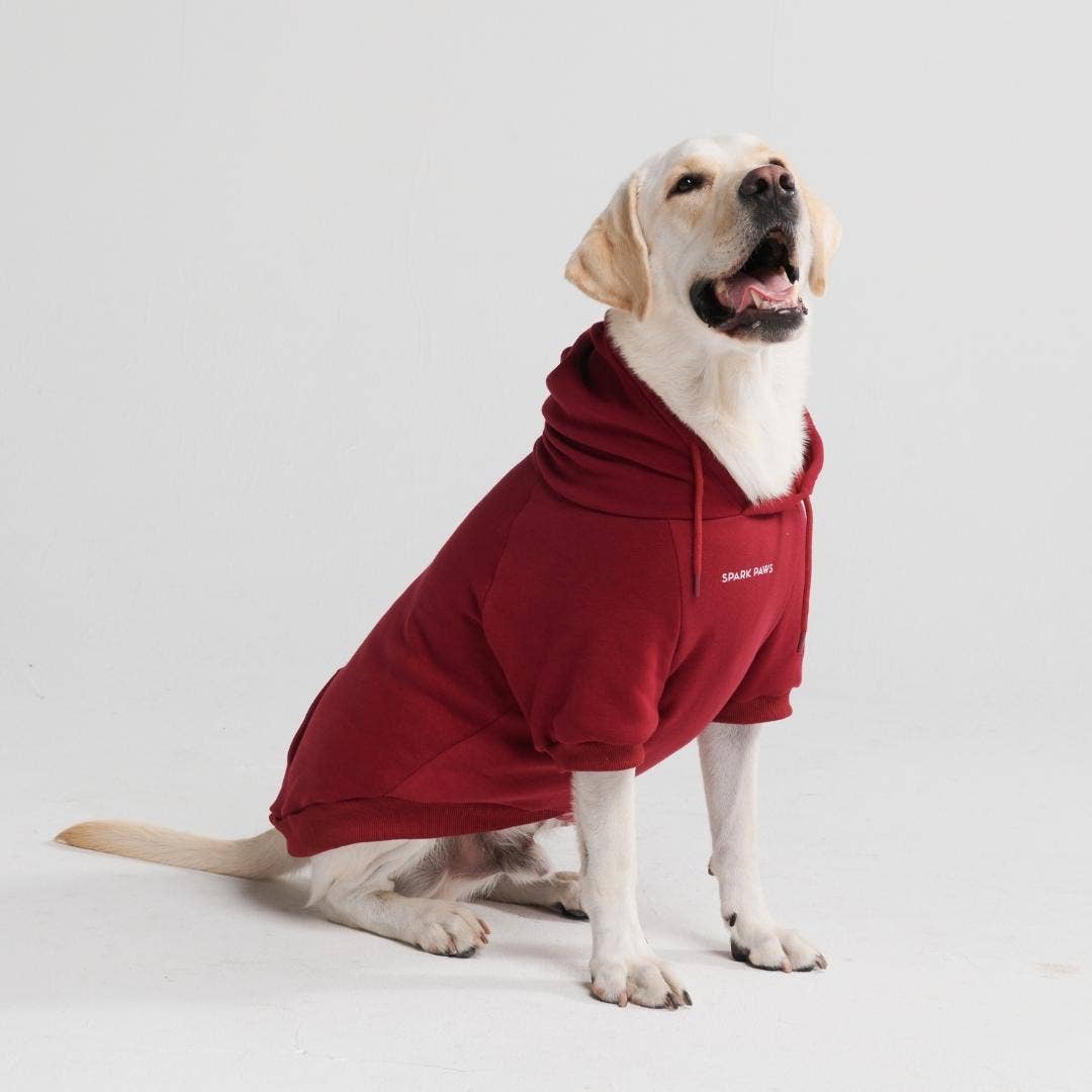 SparkPaws Essential Dog Hoodie - Burgundy