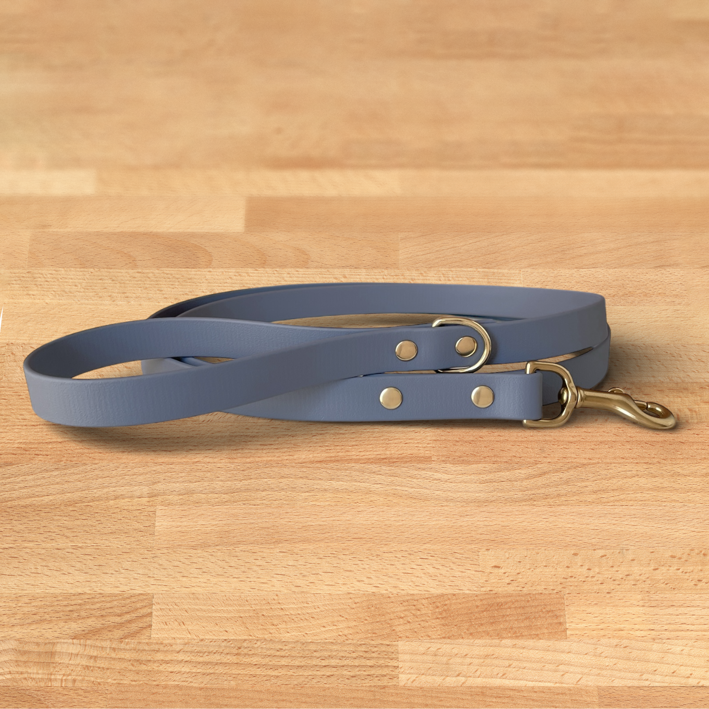 Foxmoth Biothane Waterproof Leash