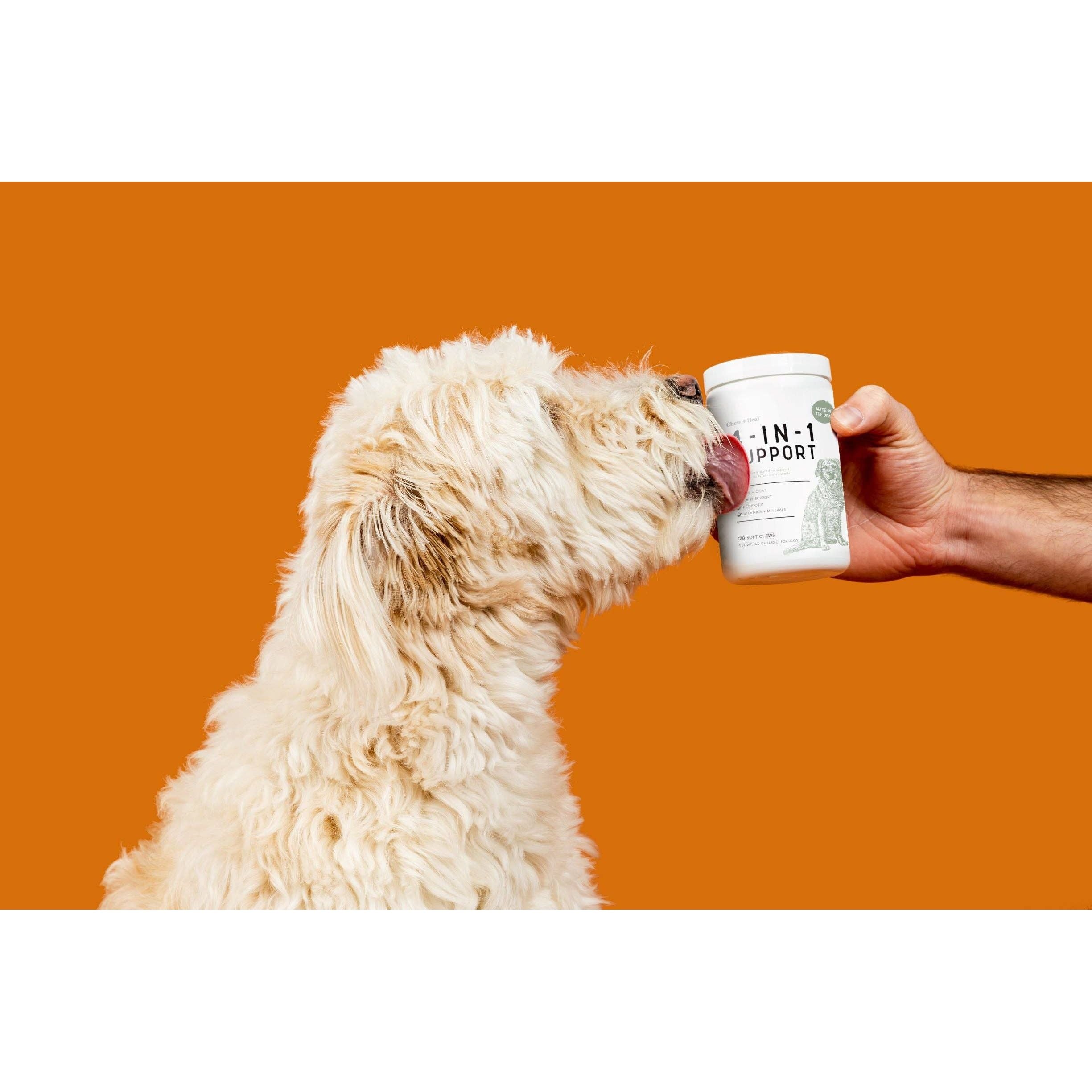 Chew + Heal 4-IN-1 Support Supplement