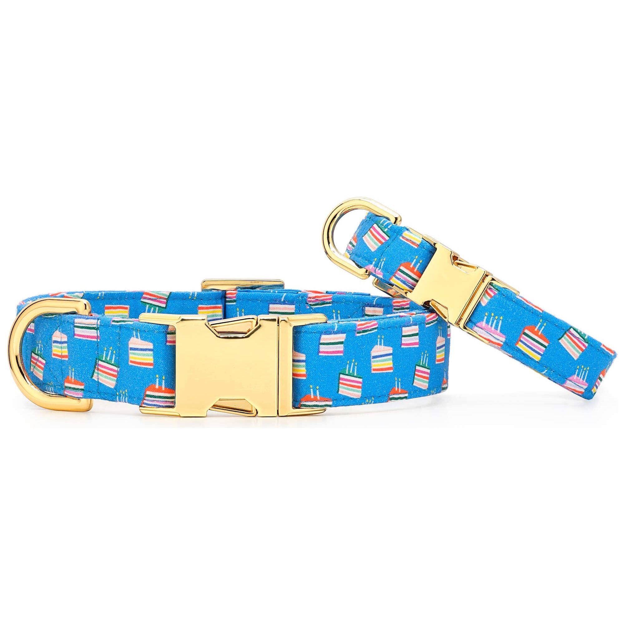 The Foggy Dog Make A Wish Birthday Dog Collar