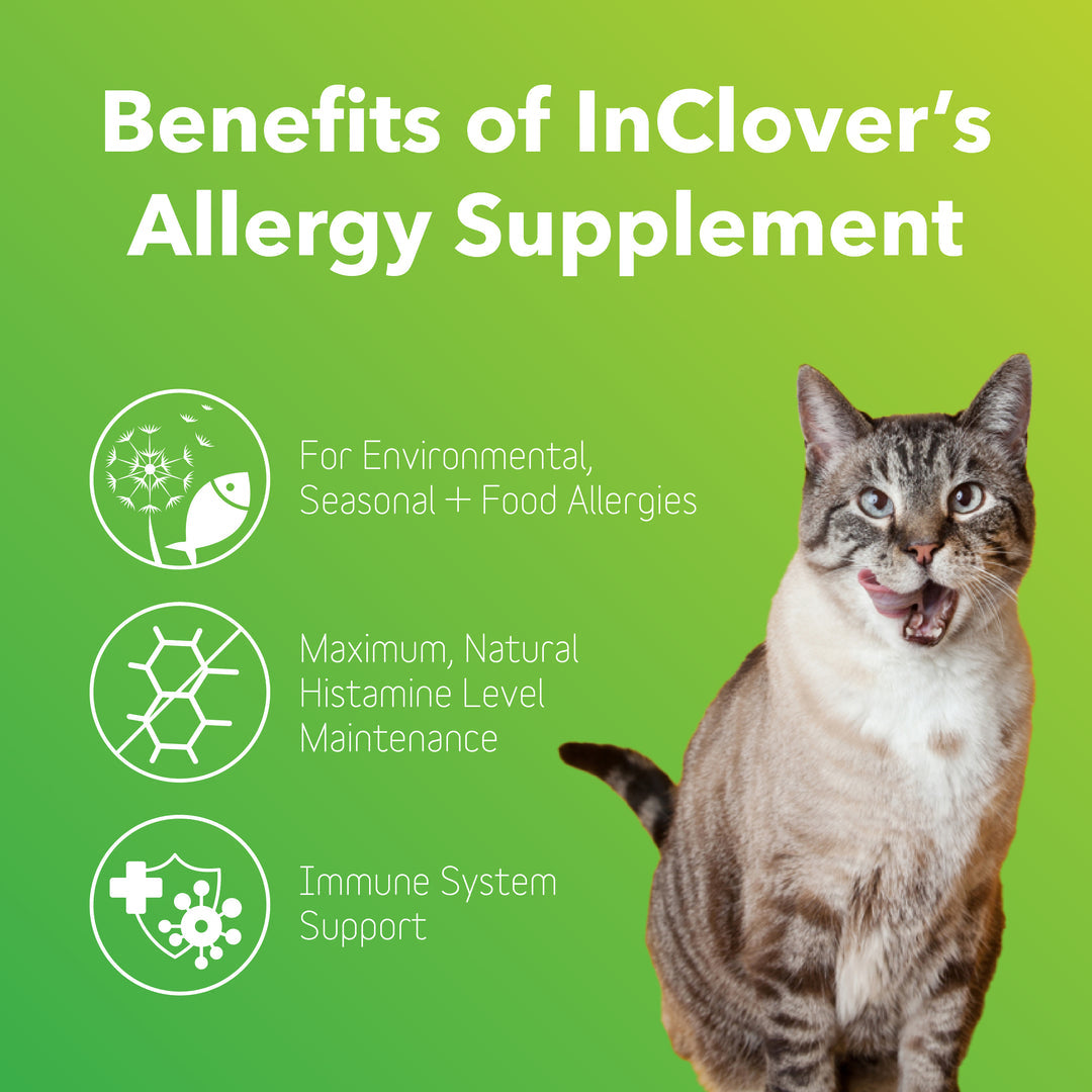 InClover Dog Cat BioResilient Allergy 100 Grams