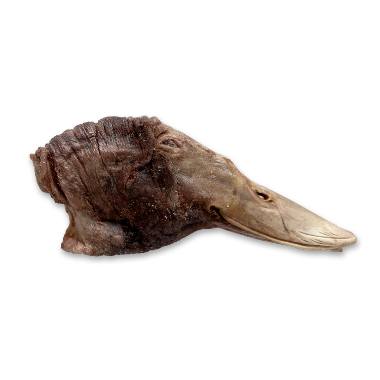 Bones & Co Duck Heads FD Treat