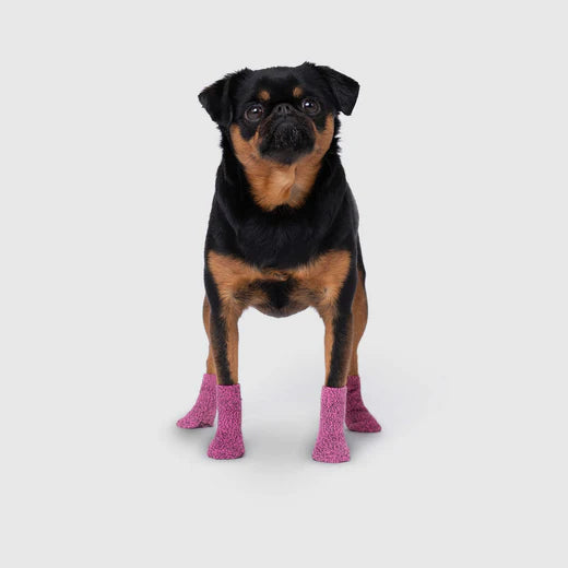 Canada Pooch Basic Socks Pink