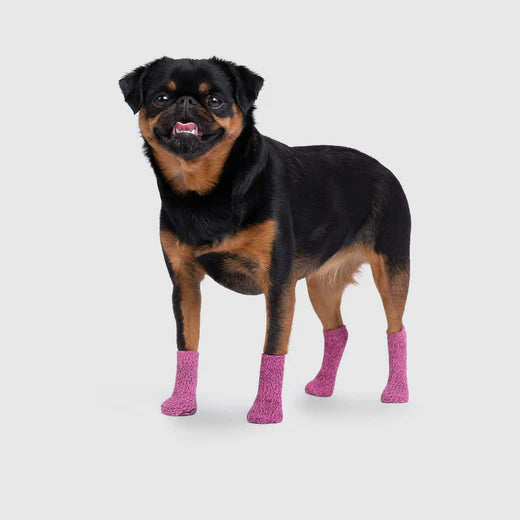 Canada Pooch Basic Socks Pink