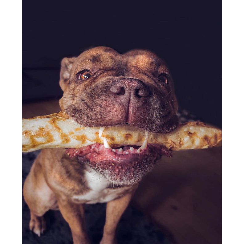 Earth Animal Dog No Hide Chicken Strips 4-Pack