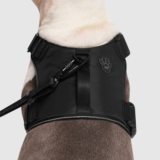 Canada Pooch Complete Control Harness Black