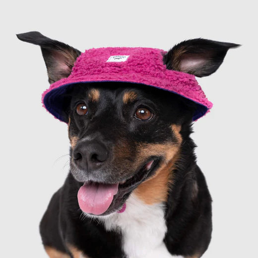 Canada Pooch Cool Factor Bucket Hat Pink