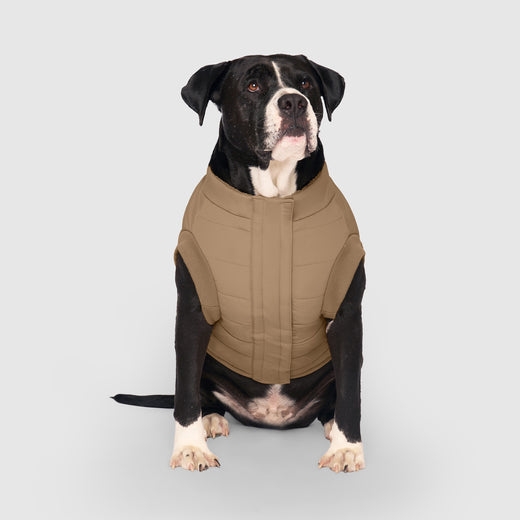 Canada Pooch Cool Factor Puffer Jacket Tan