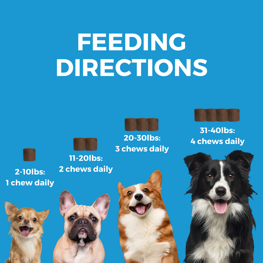 Progility Skin & Coat With Krill Oil