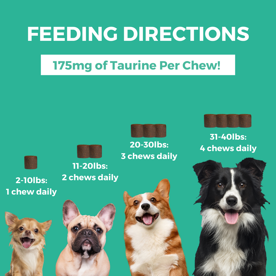 Progility Multivitamin With Taurine