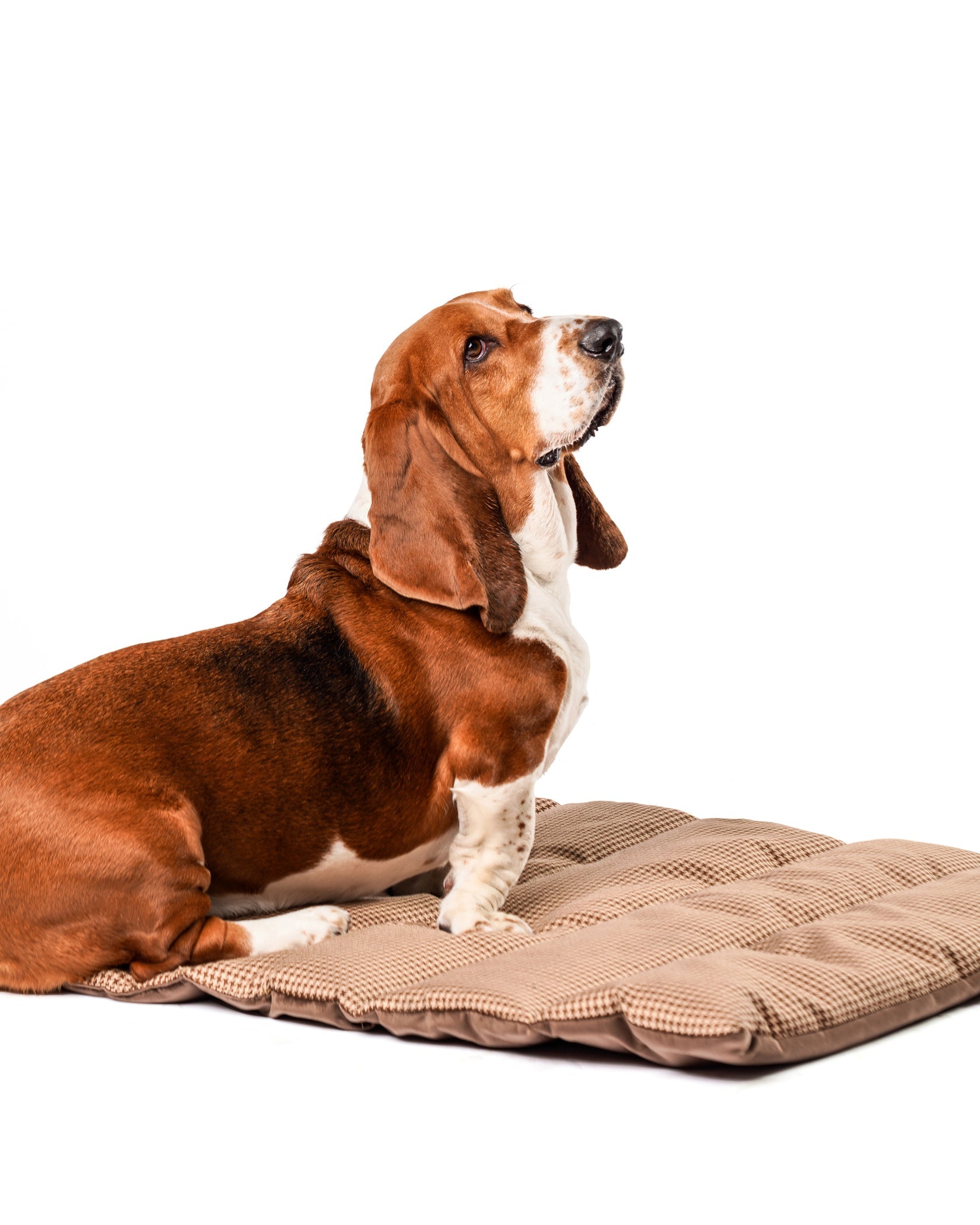 Roxbury Tullis Travel Matt Toffee