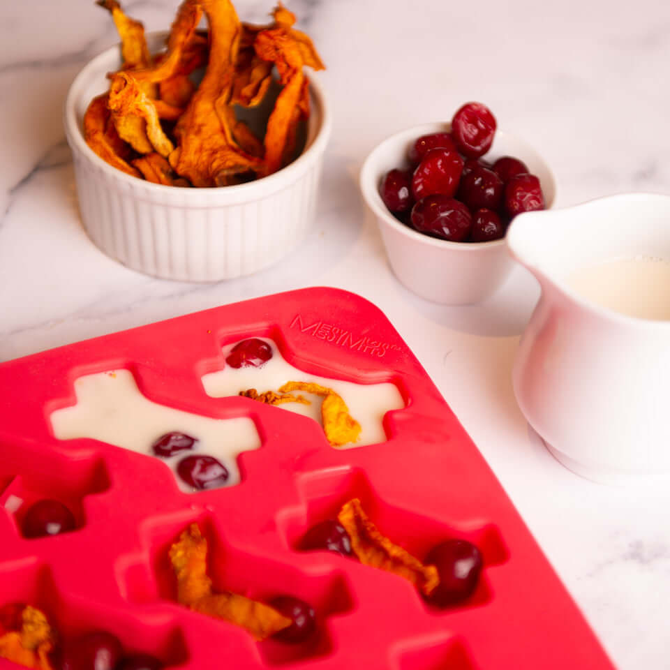 Messy Mutts Treat Mold