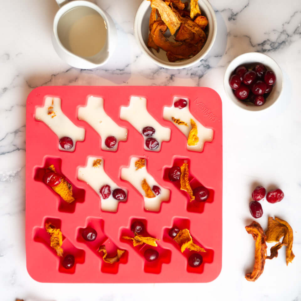 Messy Mutts Treat Mold