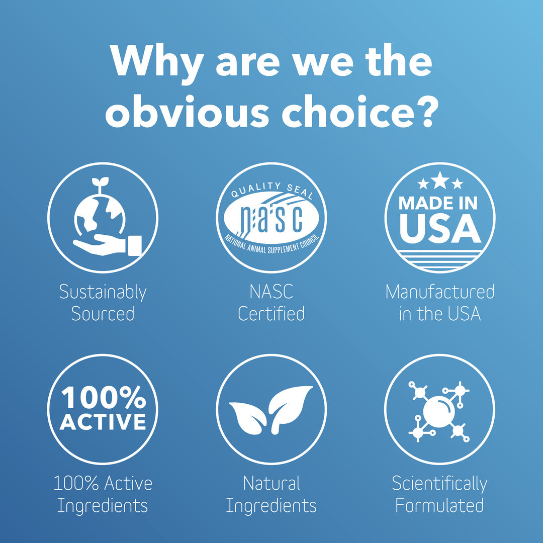 InClover Dog Cat BioBrilliant Dental 85 Grams