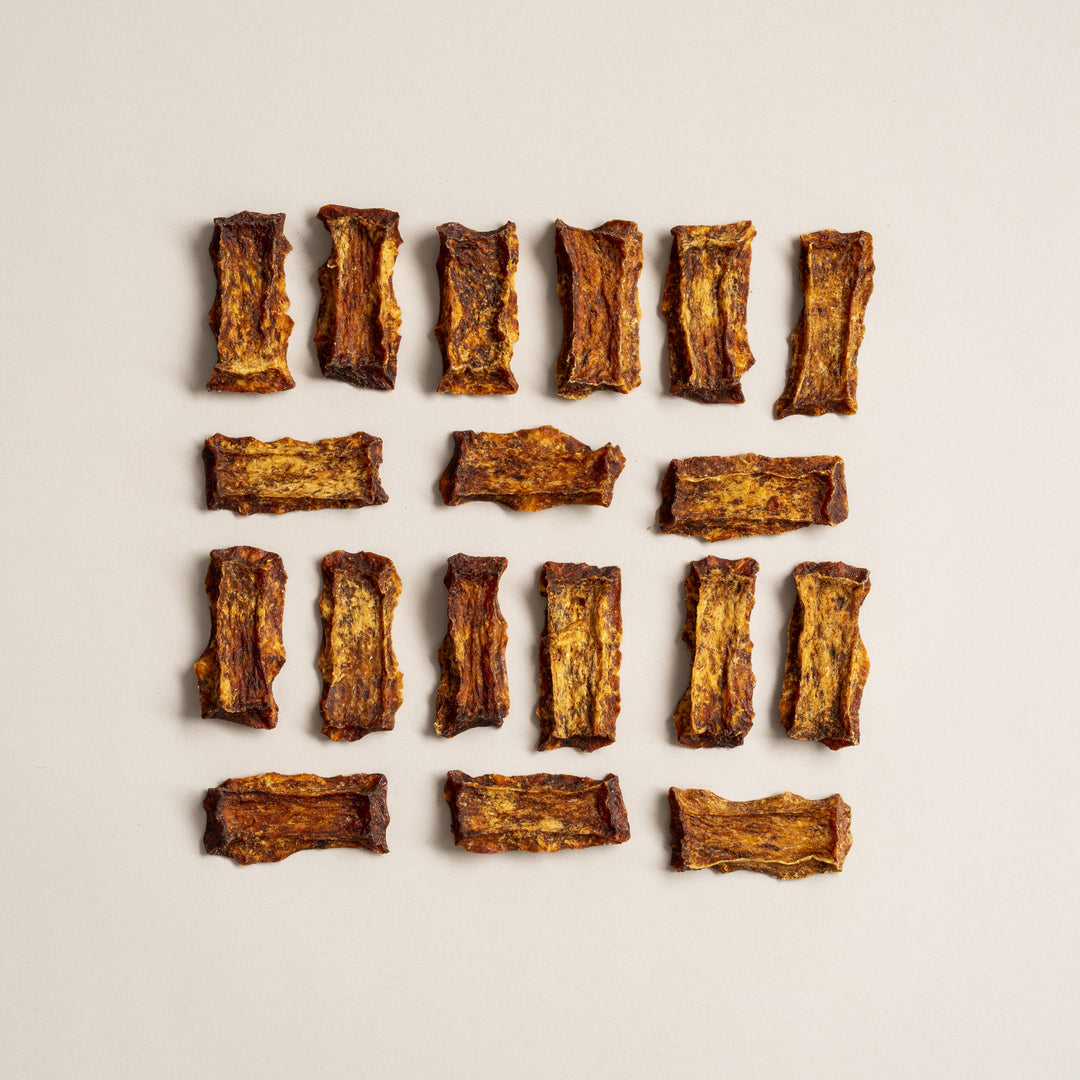 PolkaDog Bakery Salmon Chips Pouch 4oz