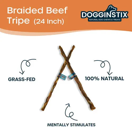 Dogginstix Braided Beef Tripe 6"