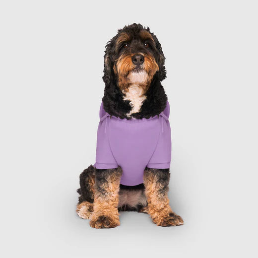 Canada Pooch Eco+ Everyday Lilac