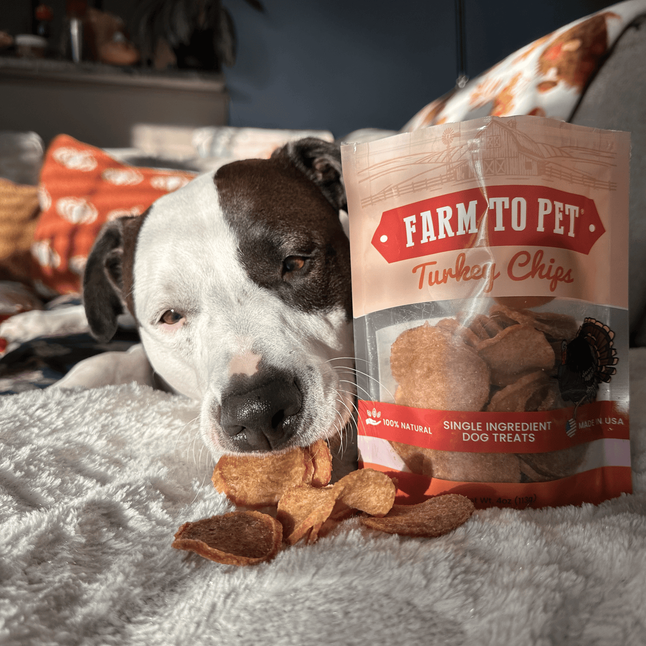 Farm To Pet Single Ingredient Turkey Chips