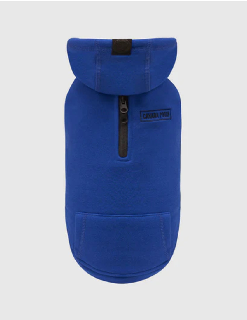 Canada Pooch Eco+ Everyday Hoodie Cobalt