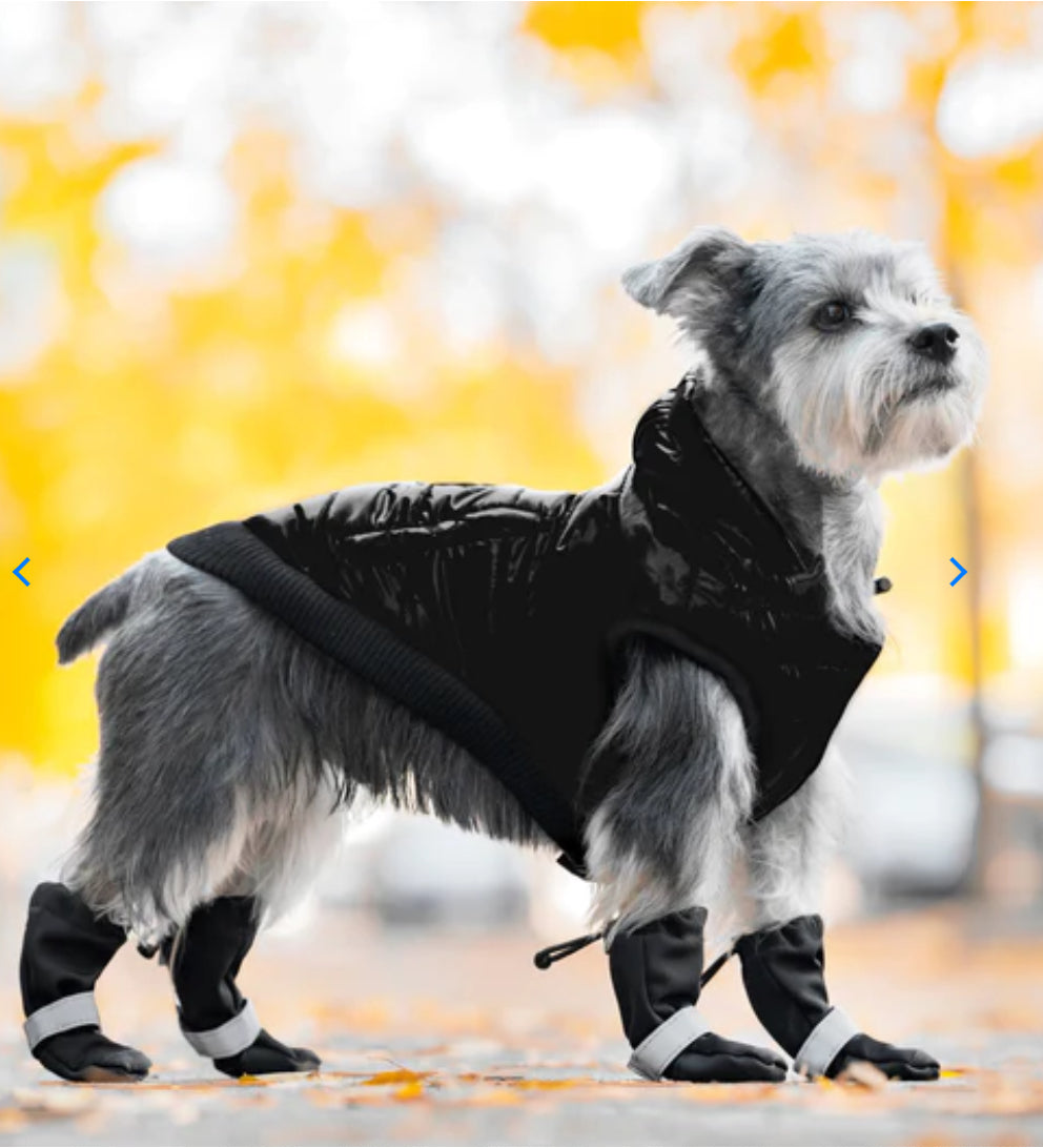 Canada Pooch Soft Shield Boots Black