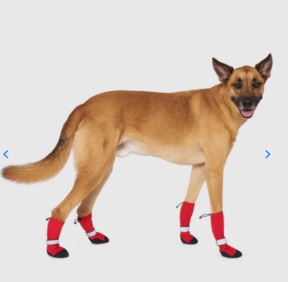 Canada Pooch Soft Shield Boots Red