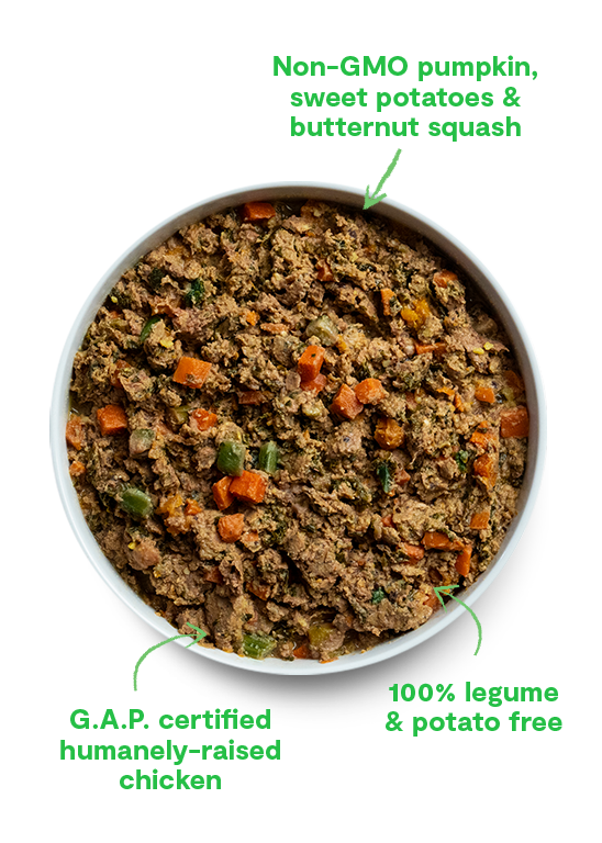 Open Farm Naughty or Nice Chicken & Brown Rice Gently Cooked 16oz