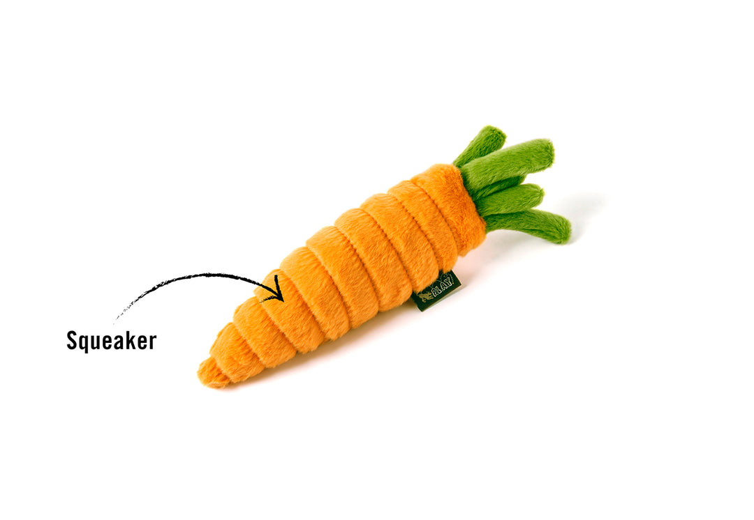 Garden Fresh Toy_Carrot Mini Size