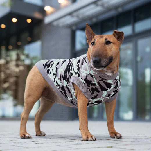 Canada Pooch Glow-In-The-Dark Sweater Camo