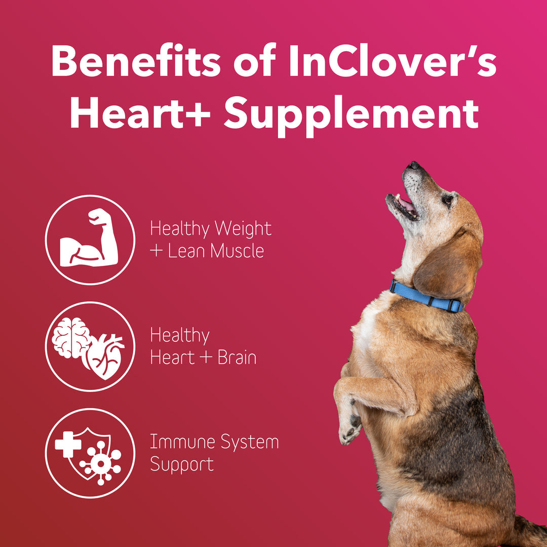 InClover Dog Cat BioVibrant Heart+ 100 Grams