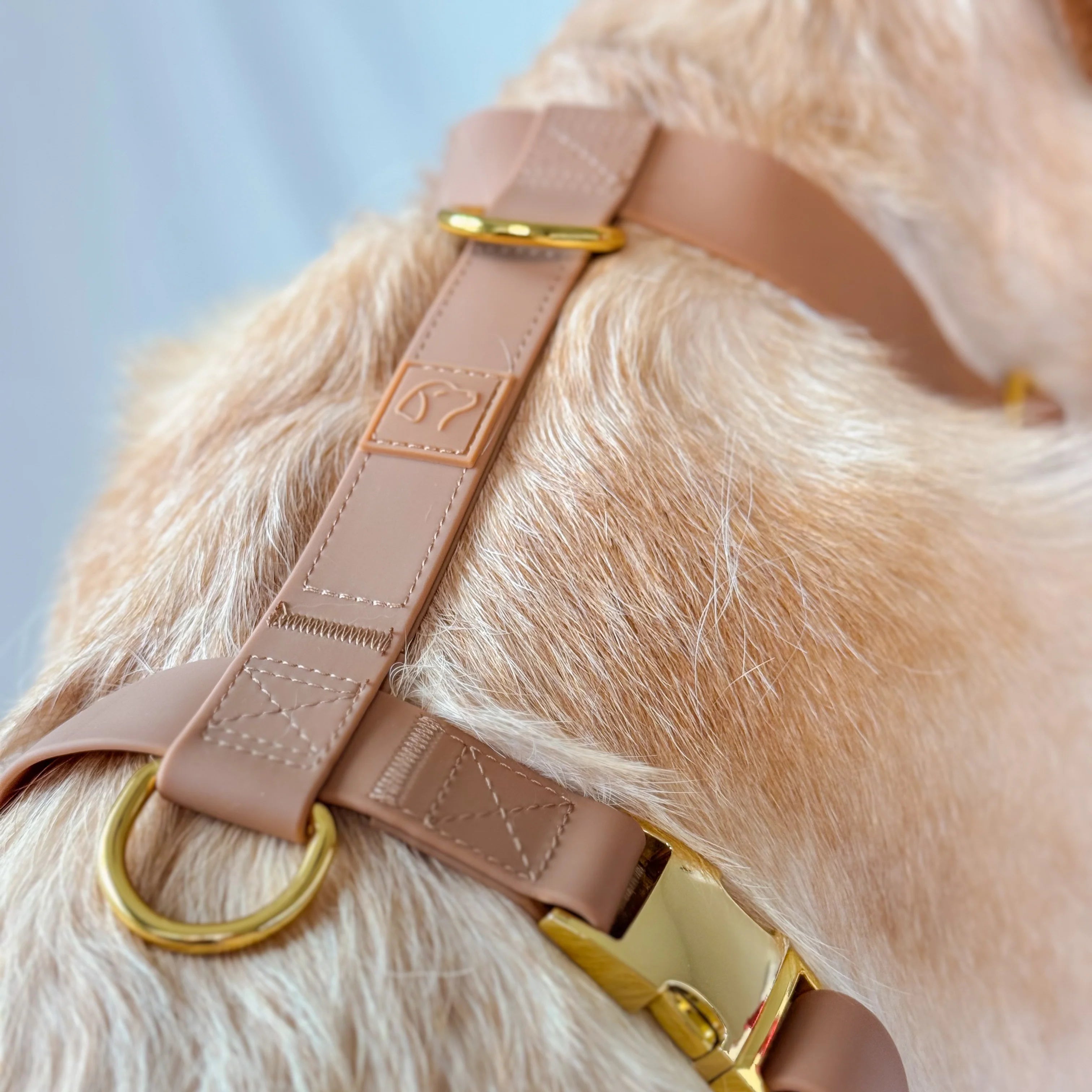 Pawsome Tails Waterprood Dog Harness - Brown