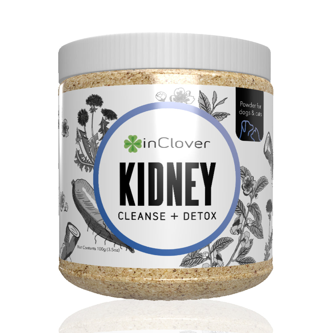 InClover Dog Cat BioRen Kidney 100 Grams