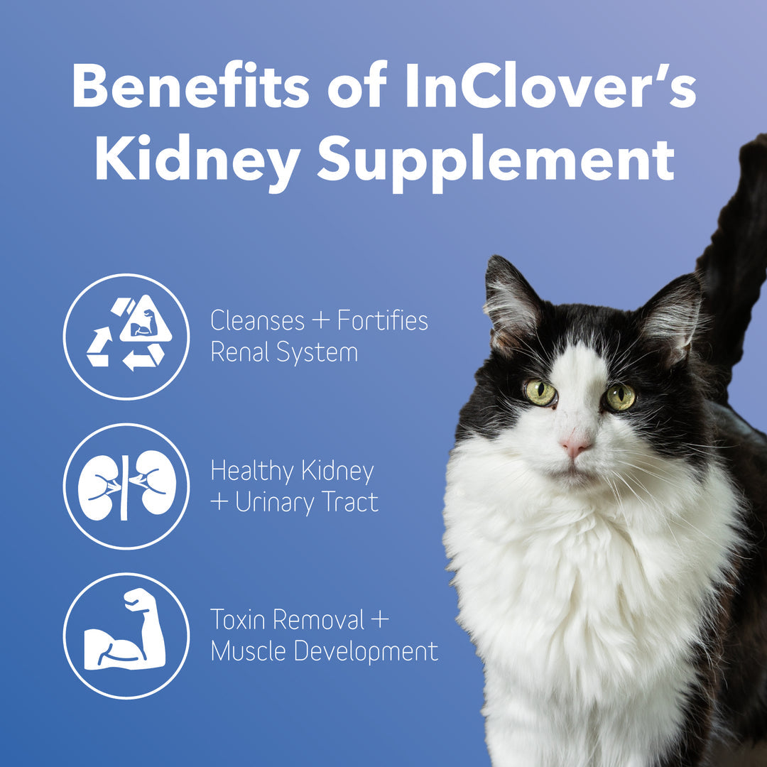 InClover Dog Cat BioRen Kidney 100 Grams
