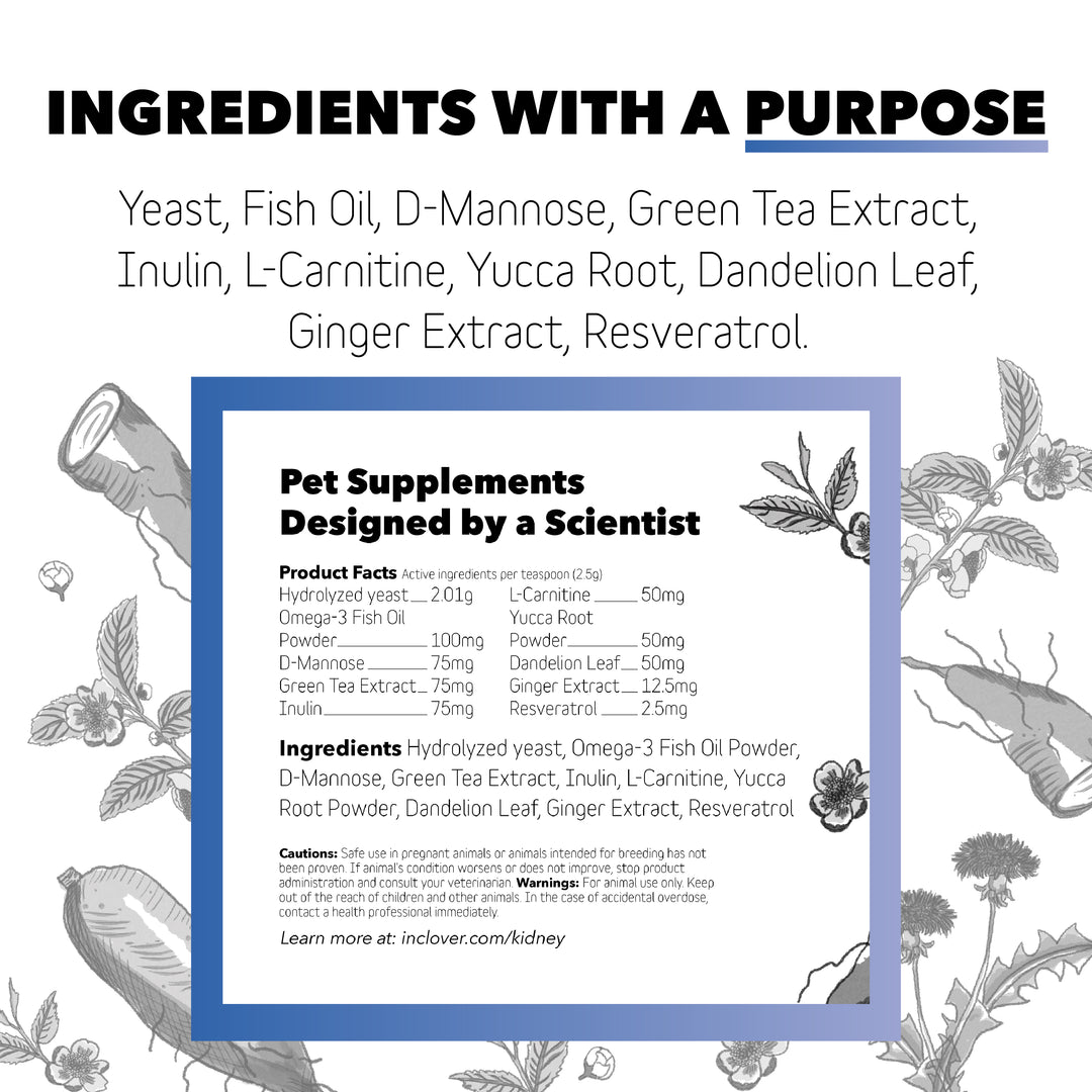 InClover Dog Cat BioRen Kidney 100 Grams