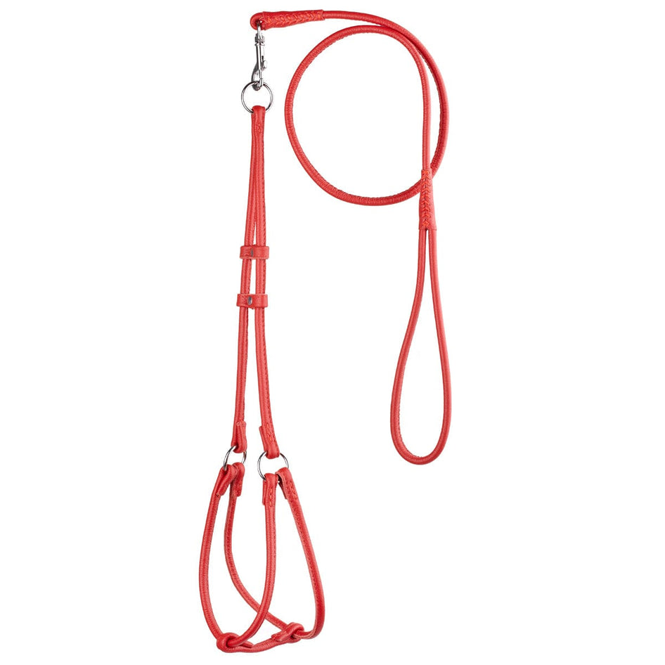 Dogline Leather Round Step-In Harness/Lead Combo- Red