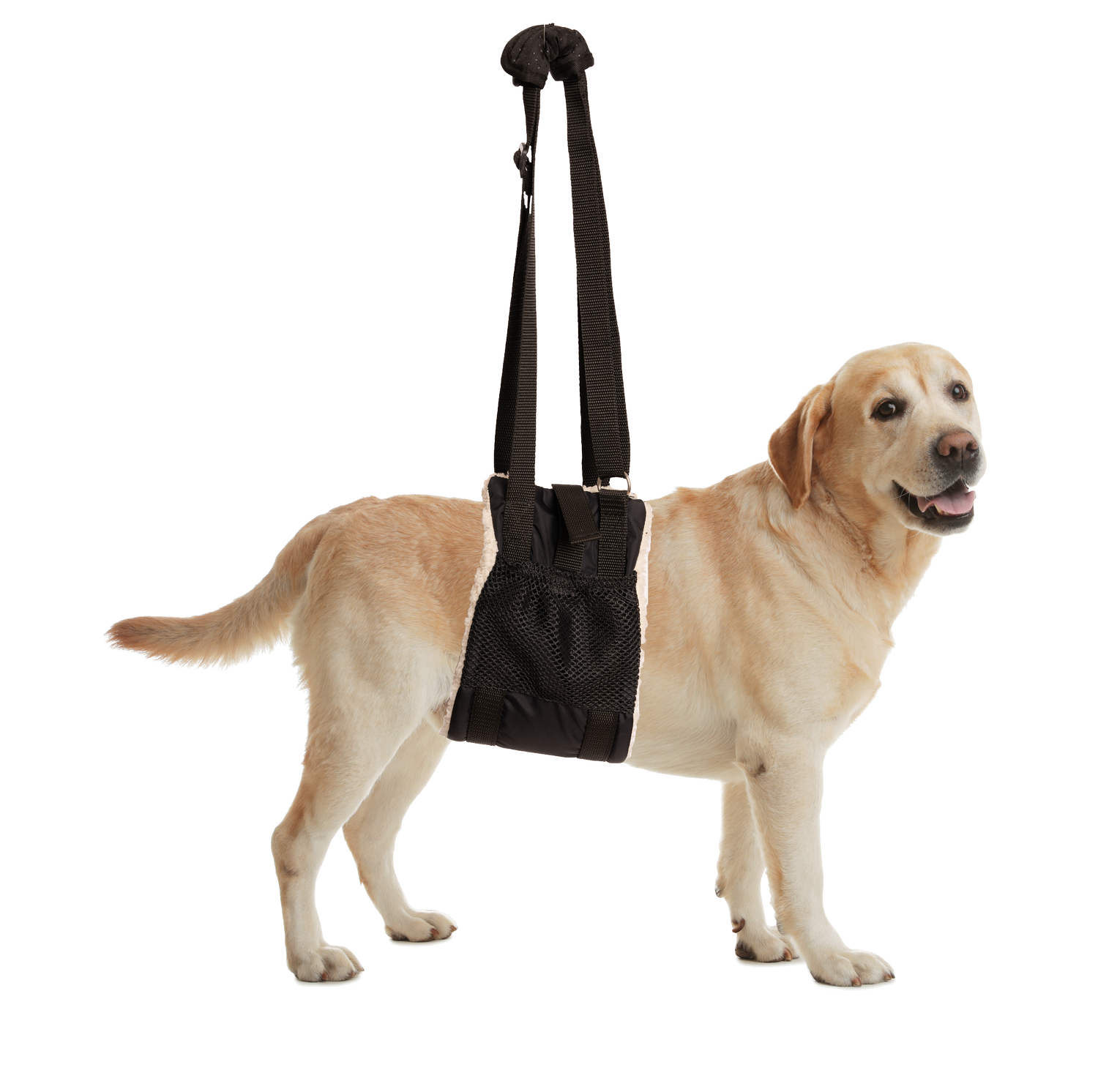 Zenpet Buddy Lift Canine Support Sling