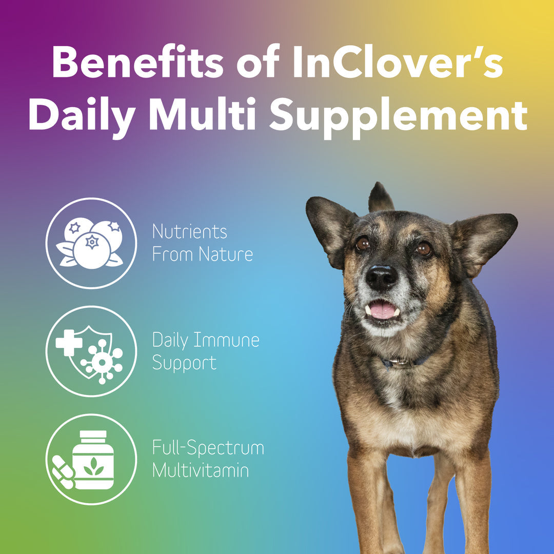 InClover Dog Cat Daily Multi Powder 100 Grams