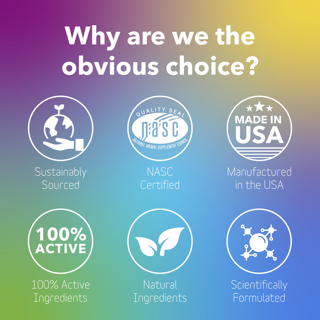 InClover Dog Cat Daily Multi Powder 100 Grams