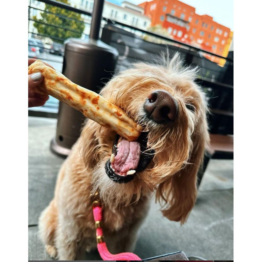 Earth Animal Dog No Hide Salmon Strips