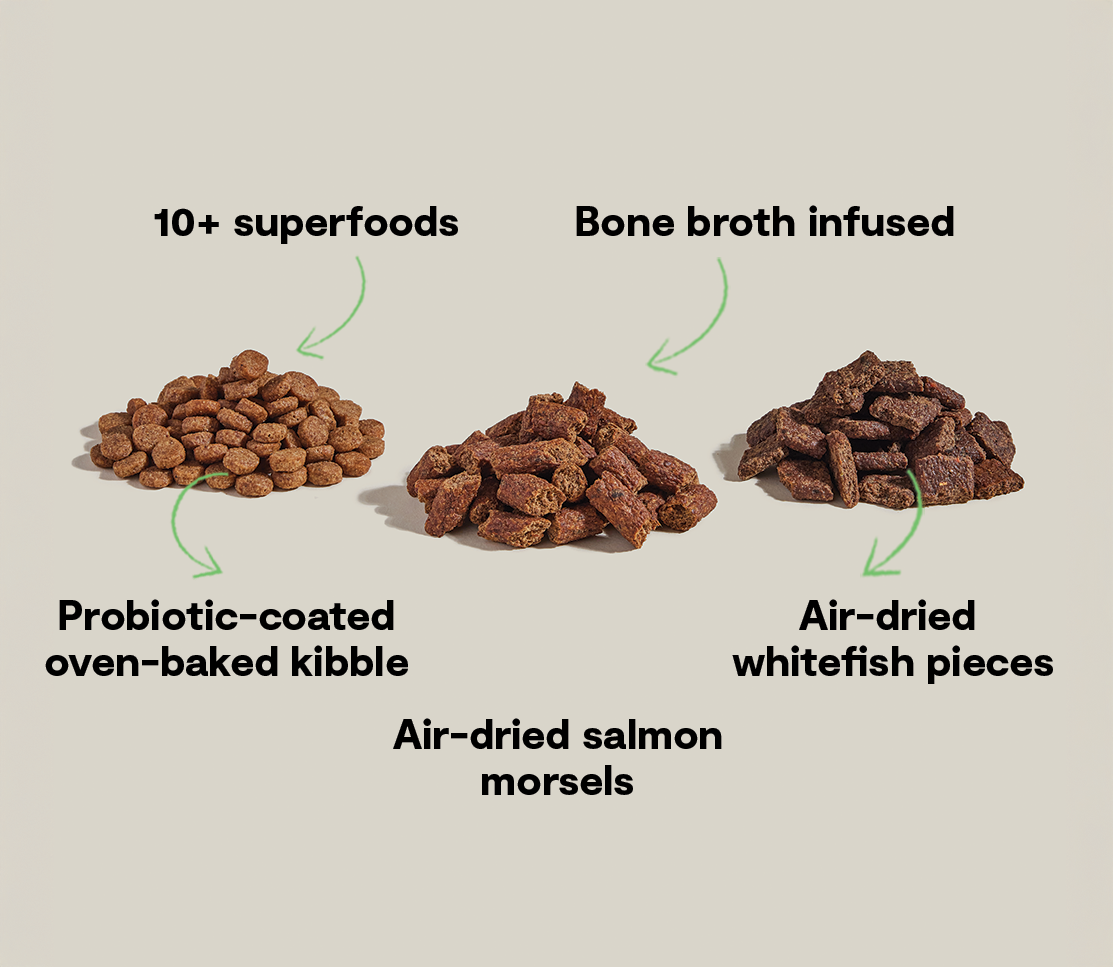 Open Farm Epic Blend Salmon