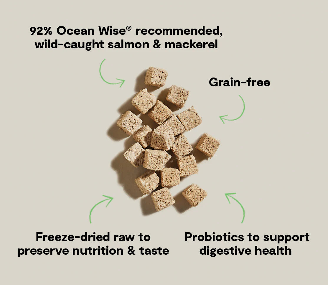 Open Farm Kitty Cubes Salmon and Mackerel 1.5oz