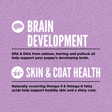 Orijen Puppy Large Breed