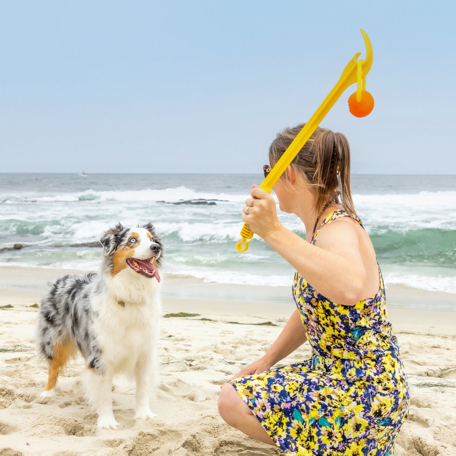 Project Hive Zoomer Dog Toy Launcher & Looped Ball