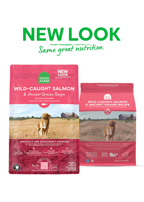 Open Farm Dog Salmon Ancient Grain