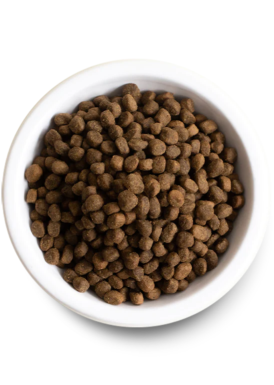 Open Farm New Zealand Venison Grain-Free Dry Dog Food
