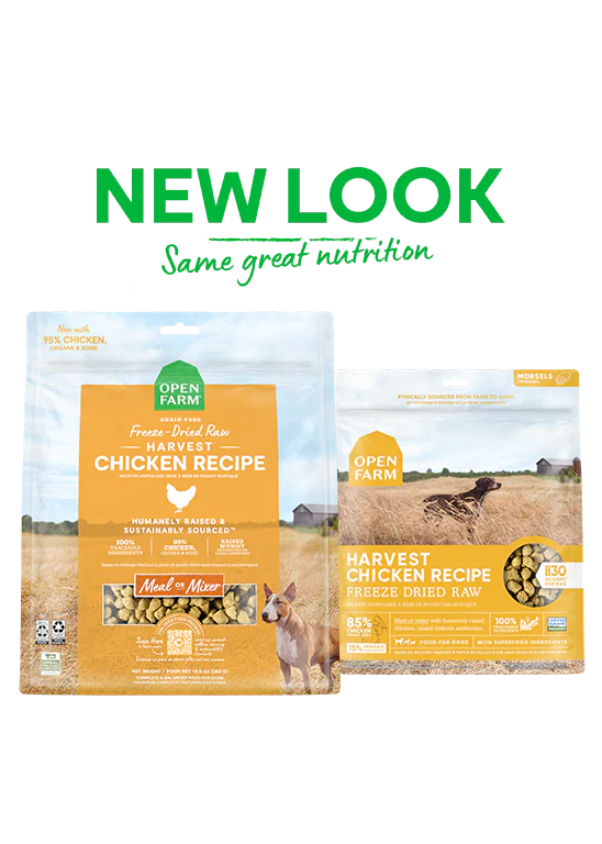 Open Farm Dog Morsels Chicken FD Raw