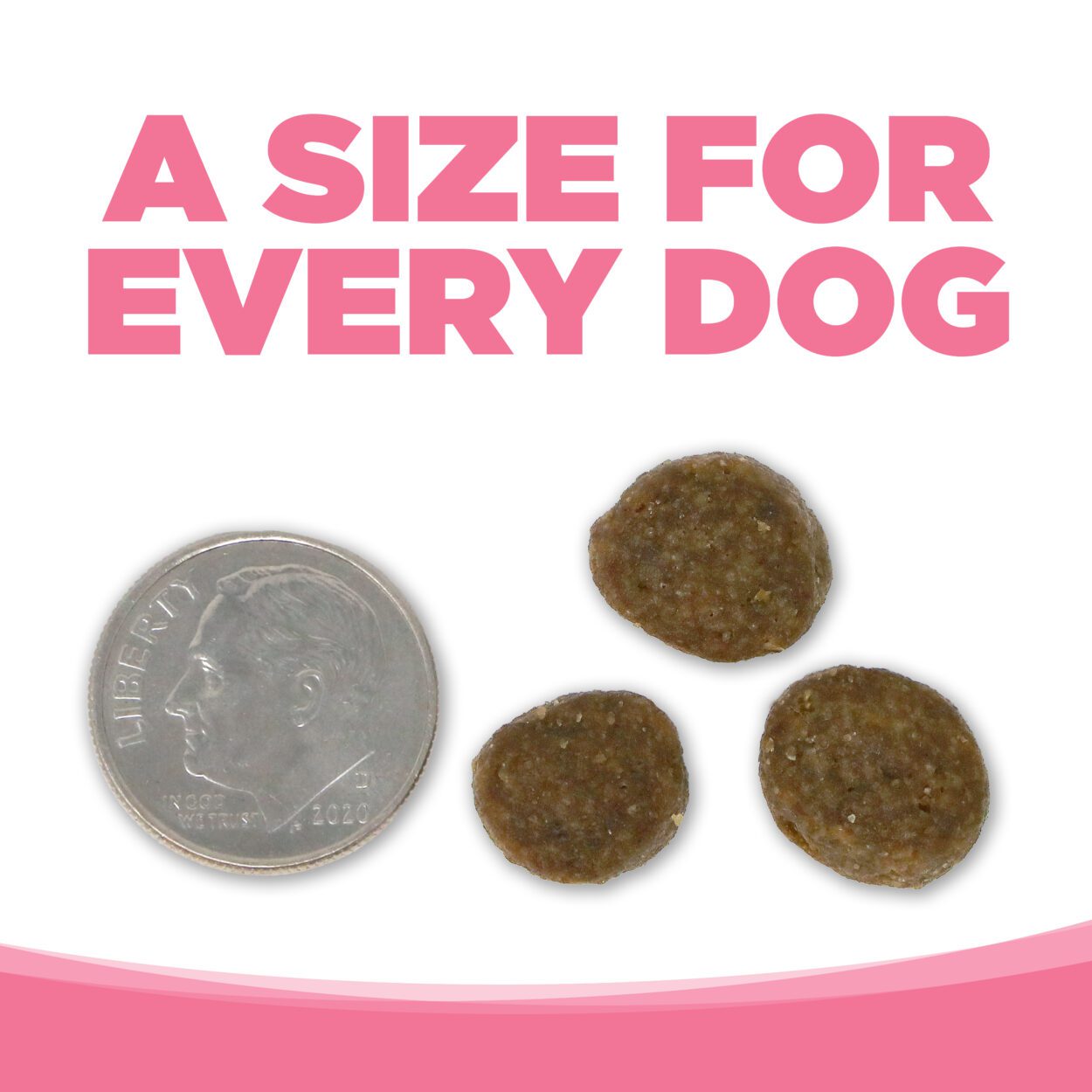 Pure Vita Salmon & Peas GF